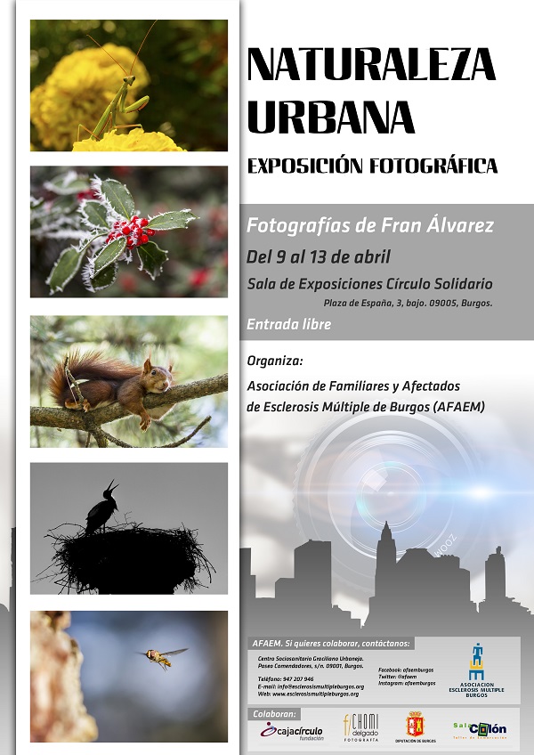 CTP-20180309-exposicion-fotografias-fran-alvarez-afaem-burgos-600×848